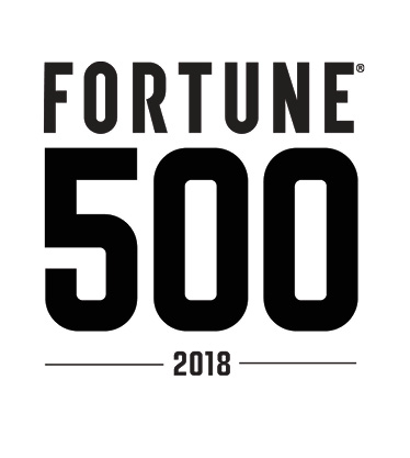 A Fortune 500 Company
